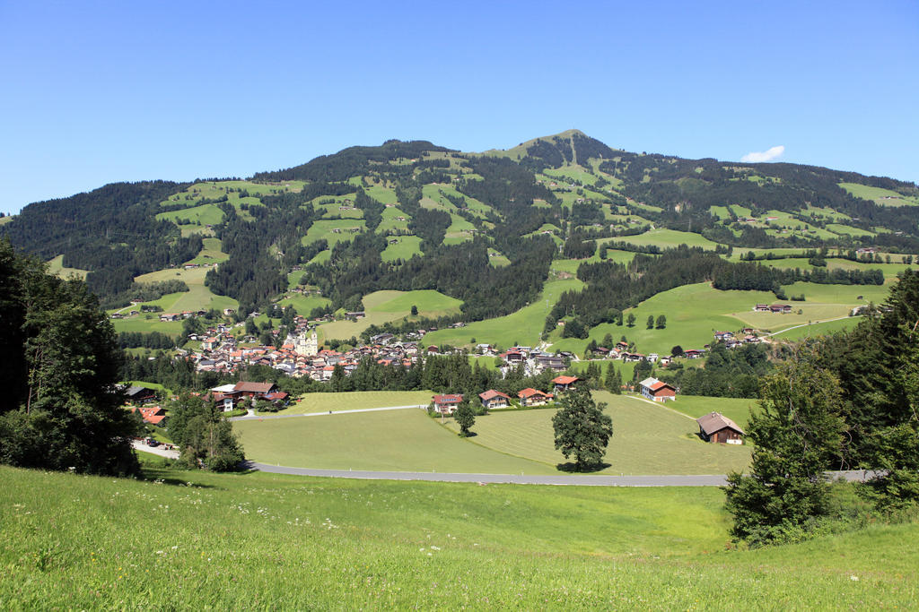 Landhaus Hinterebenhub Hopfgarten im Brixental Exteriér fotografie
